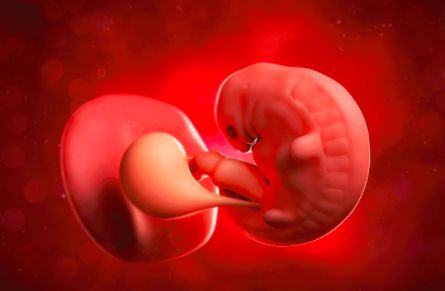 医生